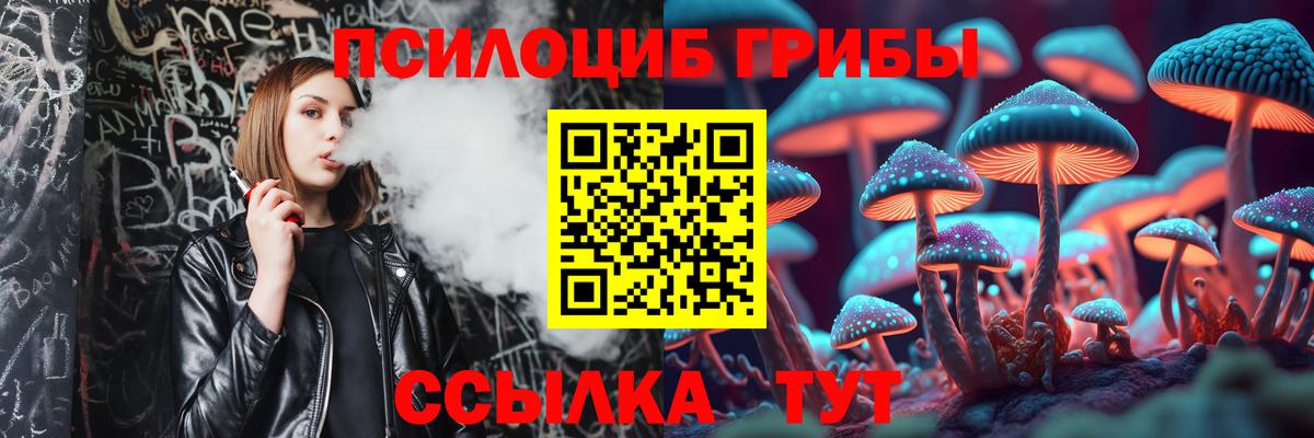 Псилоцибиновые грибы MAGIC MUSHROOMS Старая Купавна